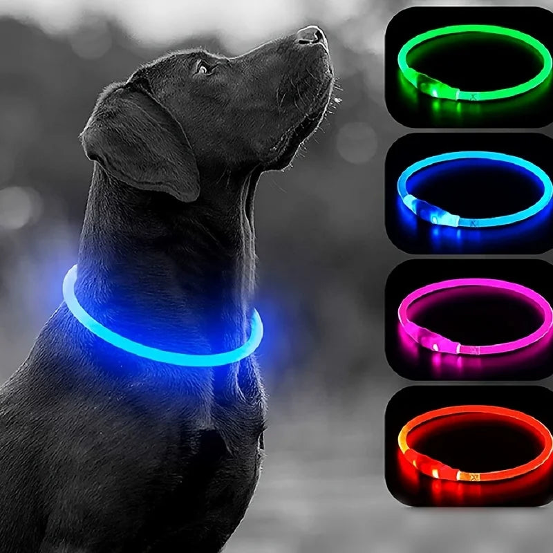 USB Rechargeable Glow-in-the-Dark Dog Collar – Adjustable & Night Safe