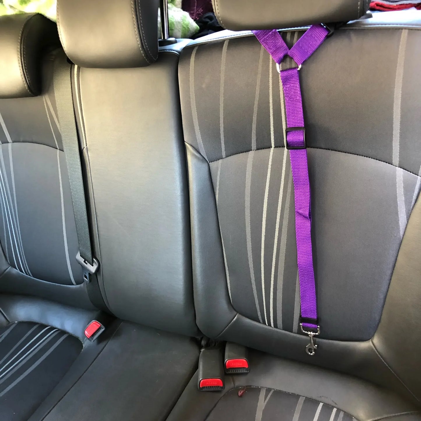 Adjustable Two-in-One Pet Car Seat Belt & Leash – Backseat Safety Harness for Dogs